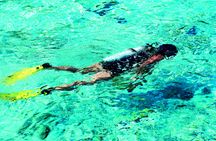 Snorkeling tour from RIU Atoll and RIU Palace Maldivas