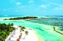 Private boat tour from RIU Atoll and RIU Palace Maldivas