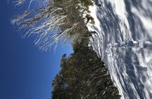 Mount Buller snow day tour