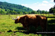 Firth of Forth and the Trossachs tour