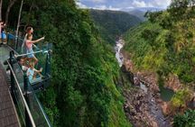 Self drive to Kuranda  - Skyrail and Scenic Rail