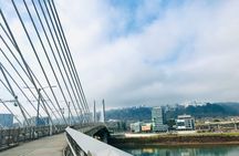 Portland parks and bridges 3-hour bike tour