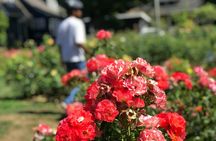 Portland parks and bridges 3-hour bike tour