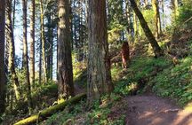 Portland Forest Park urban hiking tour
