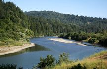California Redwoods & Wine Country Tour