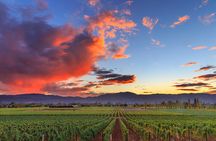 California Redwoods & Wine Country Tour