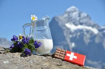 Private day tour to the heart of the Bernese Alps from Zürich