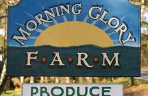 Martha’s Vineyard 4-hour private tour