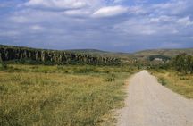 Full-day Lake Naivasha, Hell's Gate, and Crescent Island boat ride tour