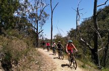 Half-day Lofty Descents tour by bike