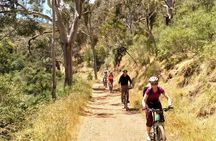 Half-day Lofty Descents tour by bike