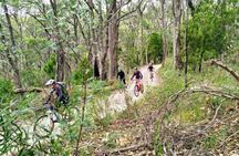 Half-day Lofty Descents tour by bike