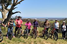 Full-day McLaren Vale bike and wine tour