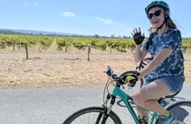 Full-day McLaren Vale bike and wine tour