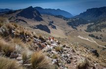 Volcanoes natural park guided excursion from Mexico City