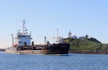 Humpback Whale encounter tour