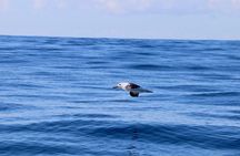 Hunter coastal adventure boat tour