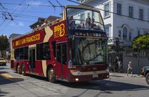 Big Bus tour of San Francisco