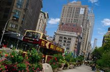 Big Bus tour of New York