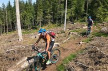 Guided mountain bike tour through the Voss hills