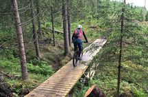 Guided mountain bike tour through the Voss hills