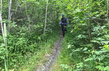 Mountain biking experience through the Voss forest