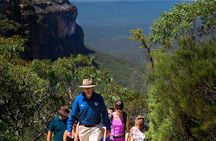 The Blue Mountains World Heritage private guided hike