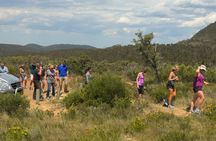 The Blue Mountains World Heritage private guided hike