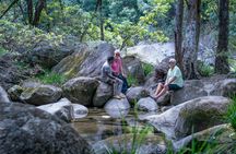Private full day tour around Daintree and Mossman