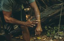 Private full day tour around Daintree and Mossman