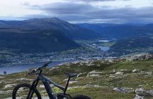 E-mountain bike guided tour in Voss