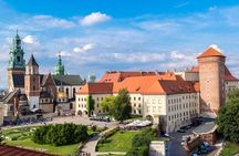 Wawel Castle, Cathedral and Rynek Underground guided tour with lunch