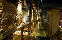 Wawel Castle, Cathedral and Rynek Underground guided tour with lunch