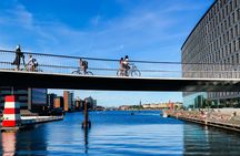 Copenhagen 3-hour private biking tour