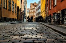 Copenhagen 3-hour private biking tour