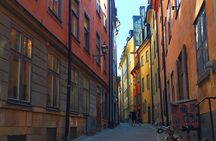 Stockholm 3-hour private walking tour