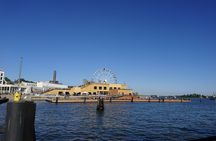 Helsinki 3-hour private walking tour