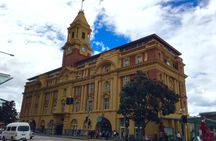 Discover Auckland City Tour