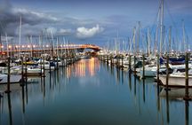 Discover Auckland City Tour