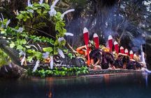 Maori Evening Concert and Dinner