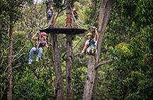 Kohala zipline canopy adventure