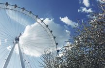 Tootbus hop-on hop-off  London discovery tour