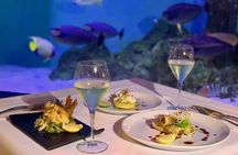 Cairns Aquarium Twilight guided tour with three course dinner
