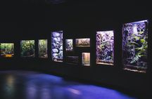 Cairns Aquarium Twilight guided tour with three course dinner