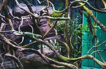 Cairns Aquarium Twilight guided tour with three course dinner