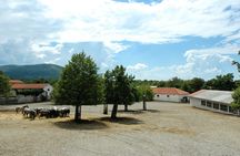 Guided tour of the Lipica Stud Farm and Skocjan Caves from Trieste