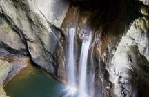 Guided tour of the Lipica Stud Farm and Skocjan Caves from Trieste