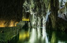 Guided tour of the Lipica Stud Farm and Škocjan Caves from Trieste