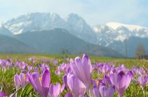 Zakopane and Tatra Mountains day tour from Krakow
