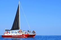 Kealakekua snorkel and sail experience